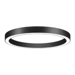 BRUMBERG Biro Circle Ring, Ø 60 cm, Casambi, schwarz, 830