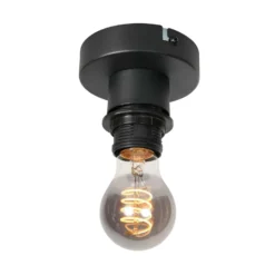 Deckenlampe Bloeba, schwarz/rauchgrau, Ø 22 cm, Glas Tropfen