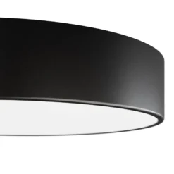 Deckenleuchte Cleo, Ø 50 cm, IP54, schwarz, Metall, E27