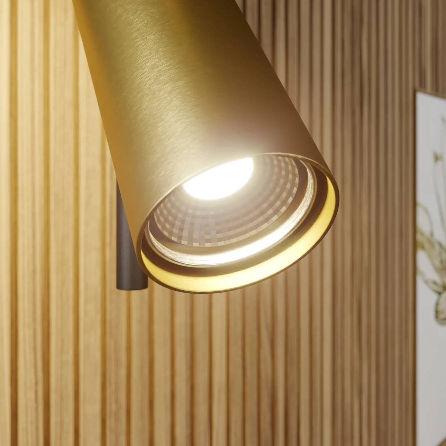 Deckenspot Leda 2, zweiflammig, schwarz-gold
