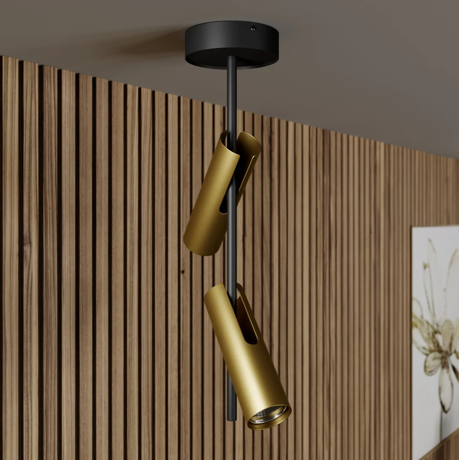 Deckenspot Leda 2, zweiflammig, schwarz-gold
