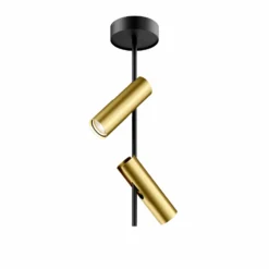 Deckenspot Leda 2, zweiflammig, schwarz-gold