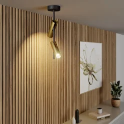 Deckenspot Leda 2, zweiflammig, schwarz-gold