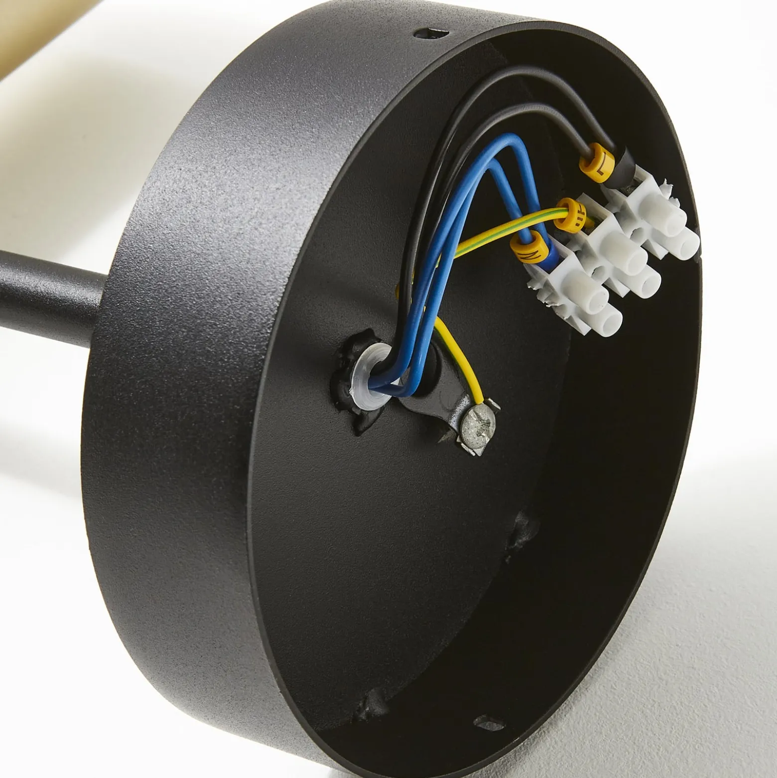 Deckenspot Leda 2, zweiflammig, schwarz-gold