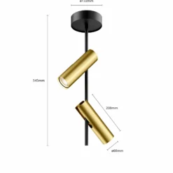 Deckenspot Leda 2, zweiflammig, schwarz-gold