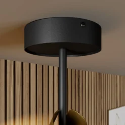 Deckenspot Leda 2, zweiflammig, schwarz-gold