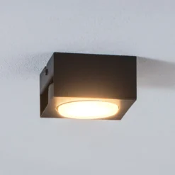 Downlight Ian in Schwarz, einflammig