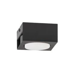 Downlight Ian in Schwarz, einflammig