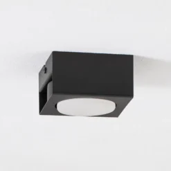 Downlight Ian in Schwarz, einflammig