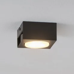 Downlight Ian in Schwarz, einflammig