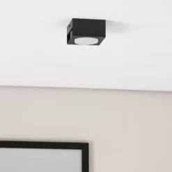 Downlight Ian in Schwarz, einflammig