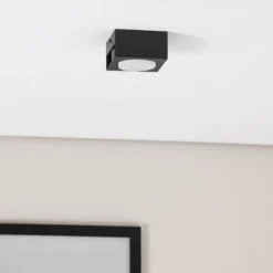Downlight Ian in Schwarz, einflammig