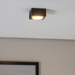 Downlight Ian in Schwarz, einflammig