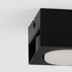 Downlight Ian in Schwarz, einflammig