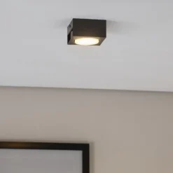 Downlight Ian in Schwarz, einflammig
