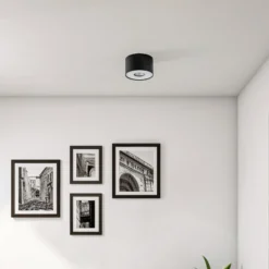 Downlight Point S, schwarz/weiß/schwarz