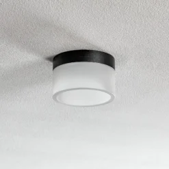 Helestra Liv LED-Deckenleuchte, satiniert, Ø 15 cm