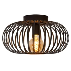 Käfig-Deckenleuchte Manuela, Ø 40 cm, schwarz