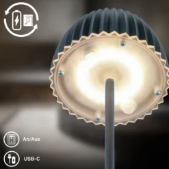 LED-Akku-Stehlampe Brilo unplugged Riffle, anthrazit