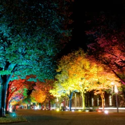 LED-Außenstrahler tint Flores XL, IP44, CCT, RGB