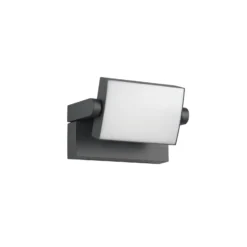 LED-Außenwandleuchte KANSAS, anthrazit, Breite 20 cm, IP54