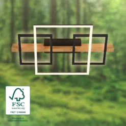 LED-Deckenleuchte Cadre, 3000K, 55cm, schwarz, Holz