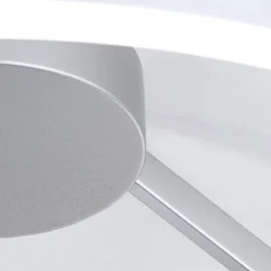 LED-Deckenleuchte Robert Ø 40 cm