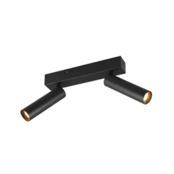 LED-Deckenspot Ambala, 2-fl., schwarz, Metall, CCT, dimmbar