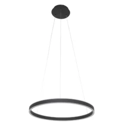 LED-Hängeleuchte Ringlux Ø 60cm 2-flammig schwarz