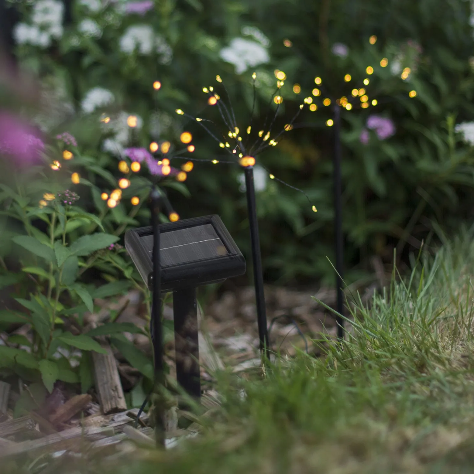 LED-Solarleuchte Firework im Set mit Erdspießen