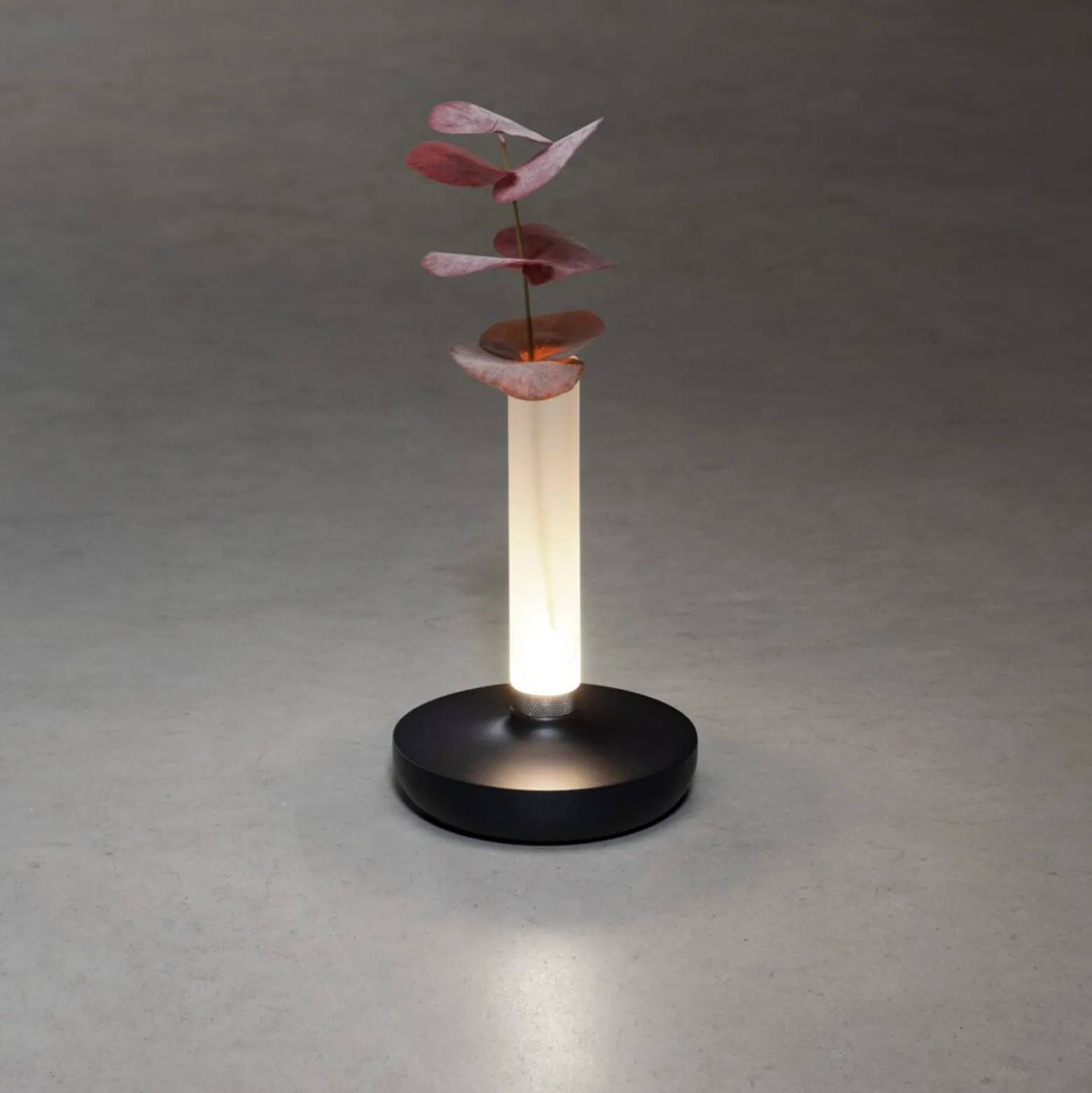 LED-Tischleuchte Biarritz IP54 Akku, CCT, schwarz