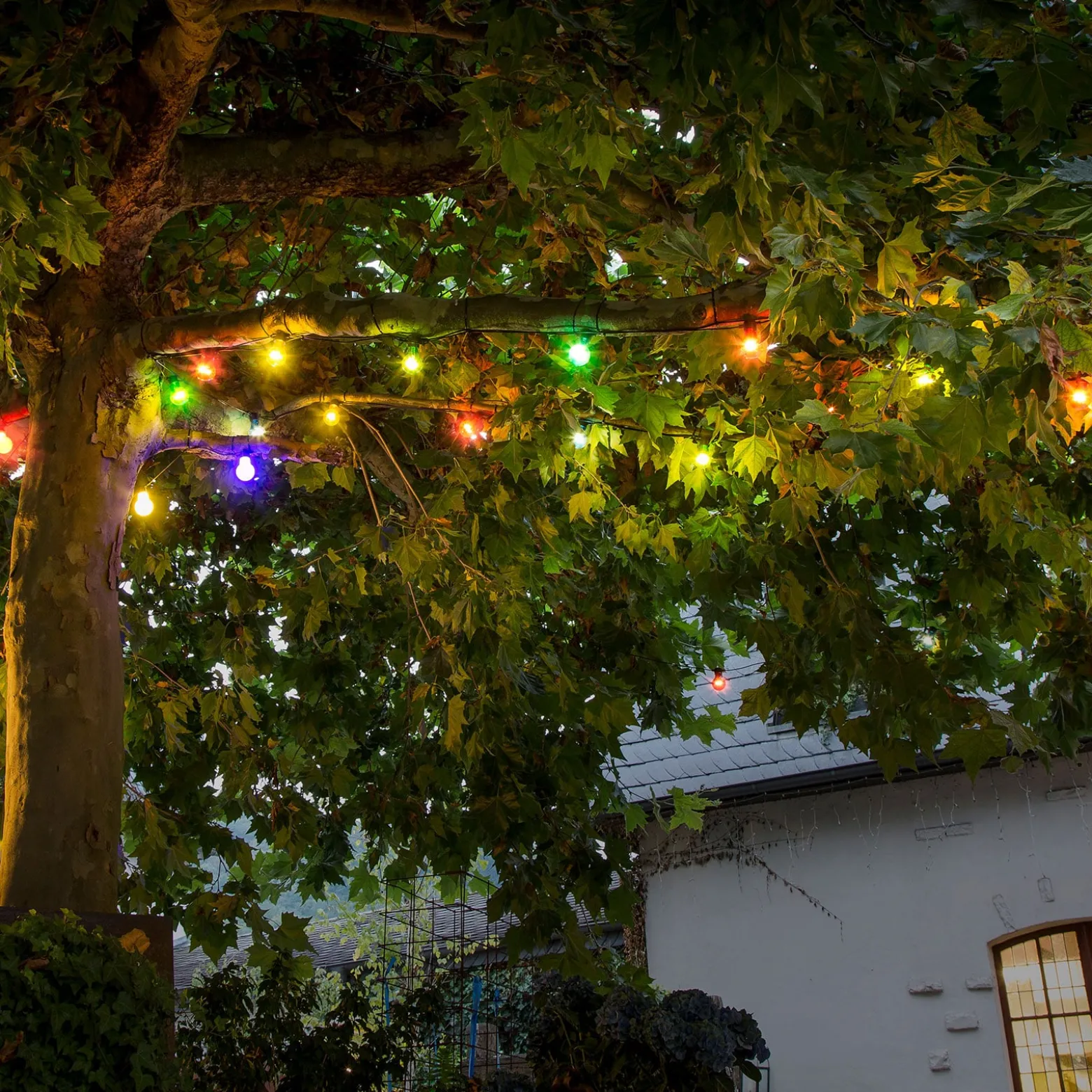 Lichterkette Biergarten 10 bunte LED-Birnen