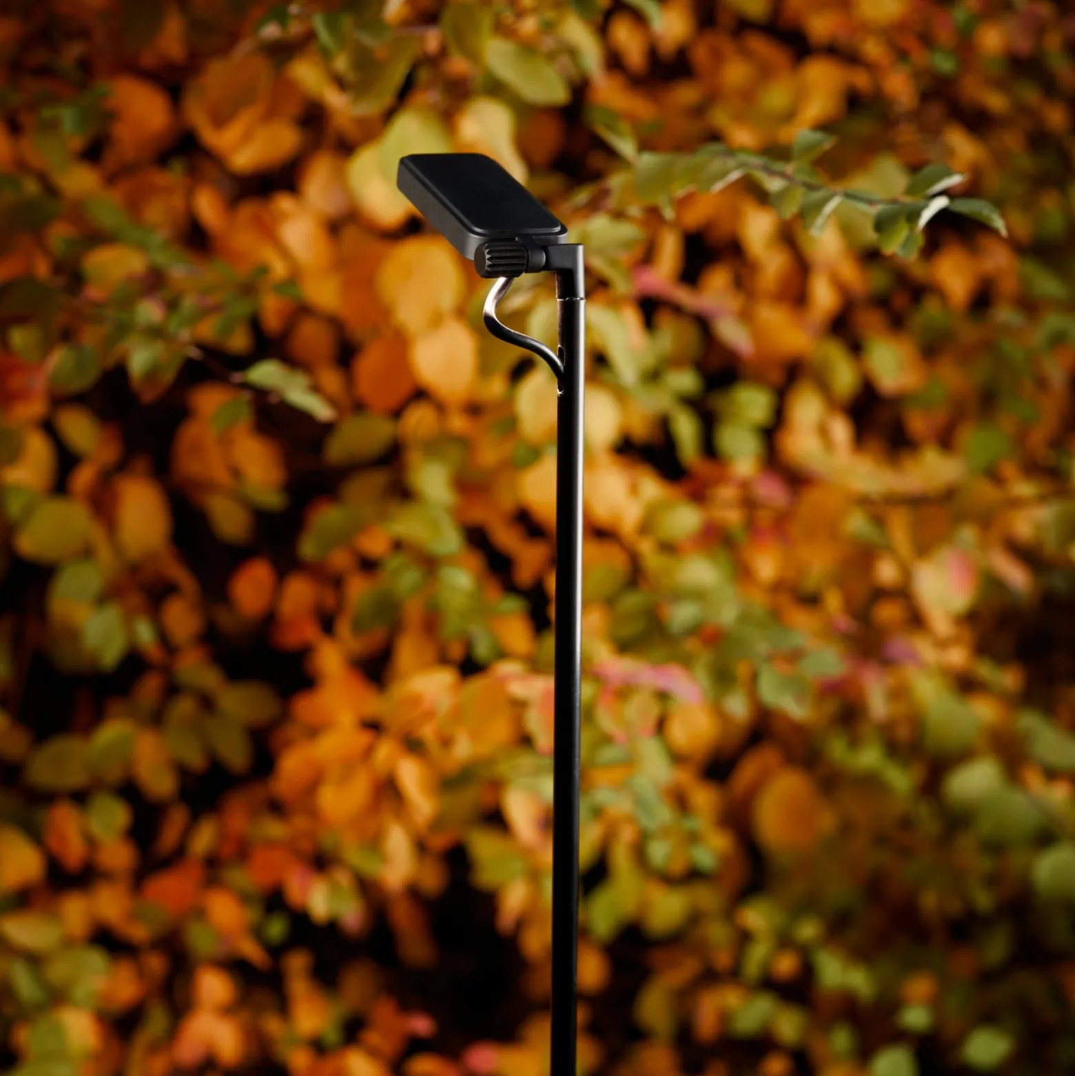 Luceplan LED-Wegelampe Flia, 180cm hoch, schwarz, Kunststoff
