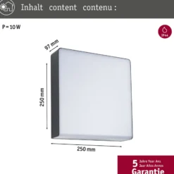 Paulmann LED-Außenwandleuchte Azalena, Sensor, anthrazit