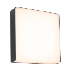 Paulmann LED-Außenwandleuchte Azalena, Sensor, anthrazit
