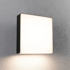 Paulmann LED-Außenwandleuchte Azalena, Sensor, anthrazit
