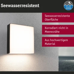 Paulmann LED-Außenwandleuchte Azalena, Sensor, anthrazit