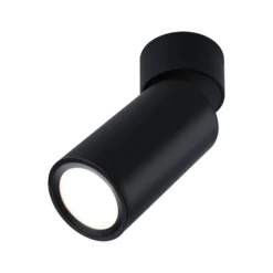 Paulmann LED-Deckenlampe Turnal Coin schwarz Metall 2.700 K