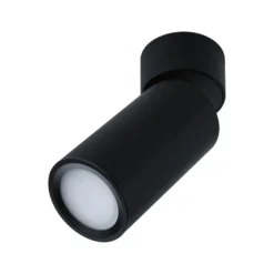 Paulmann LED-Deckenlampe Turnal Coin schwarz Metall 2.700 K