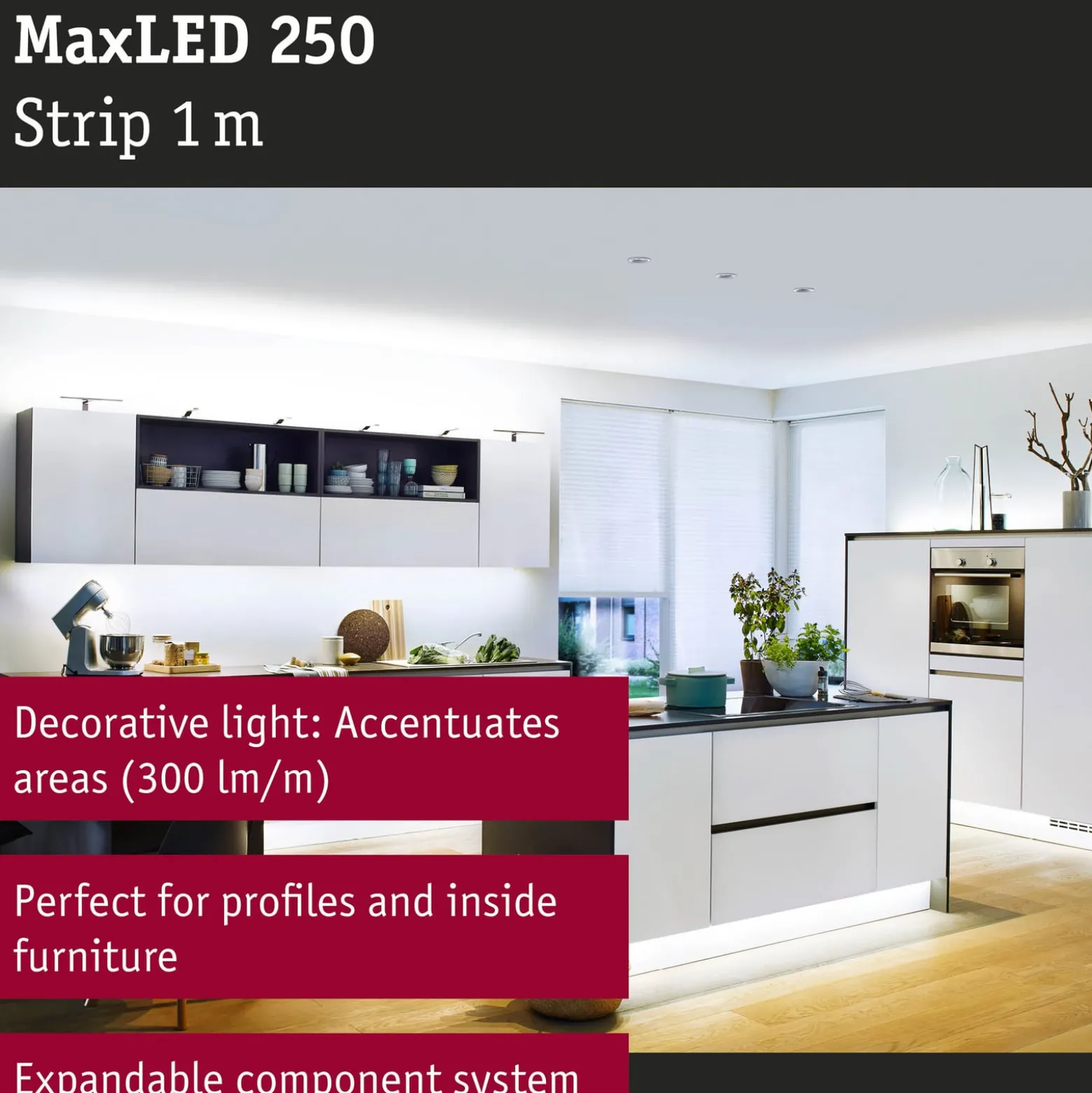Paulmann MaxLED 250 Strip IP44 tageslicht 1m