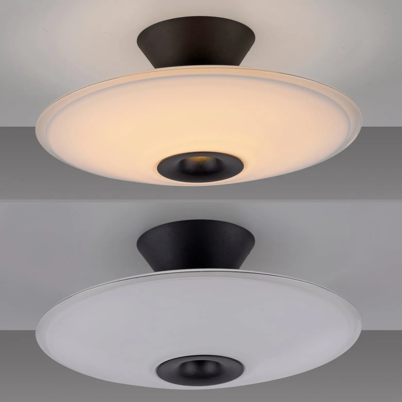Paul Neuhaus LED-Deckenlampe Elipsa, weiß/schwarz, Ø 35 cm