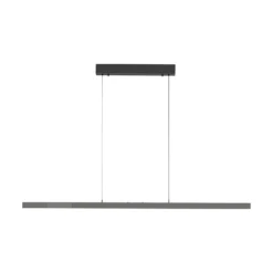 Paul Neuhaus LED-Hängelampe Adriana Comfort Lift, grau, CCT