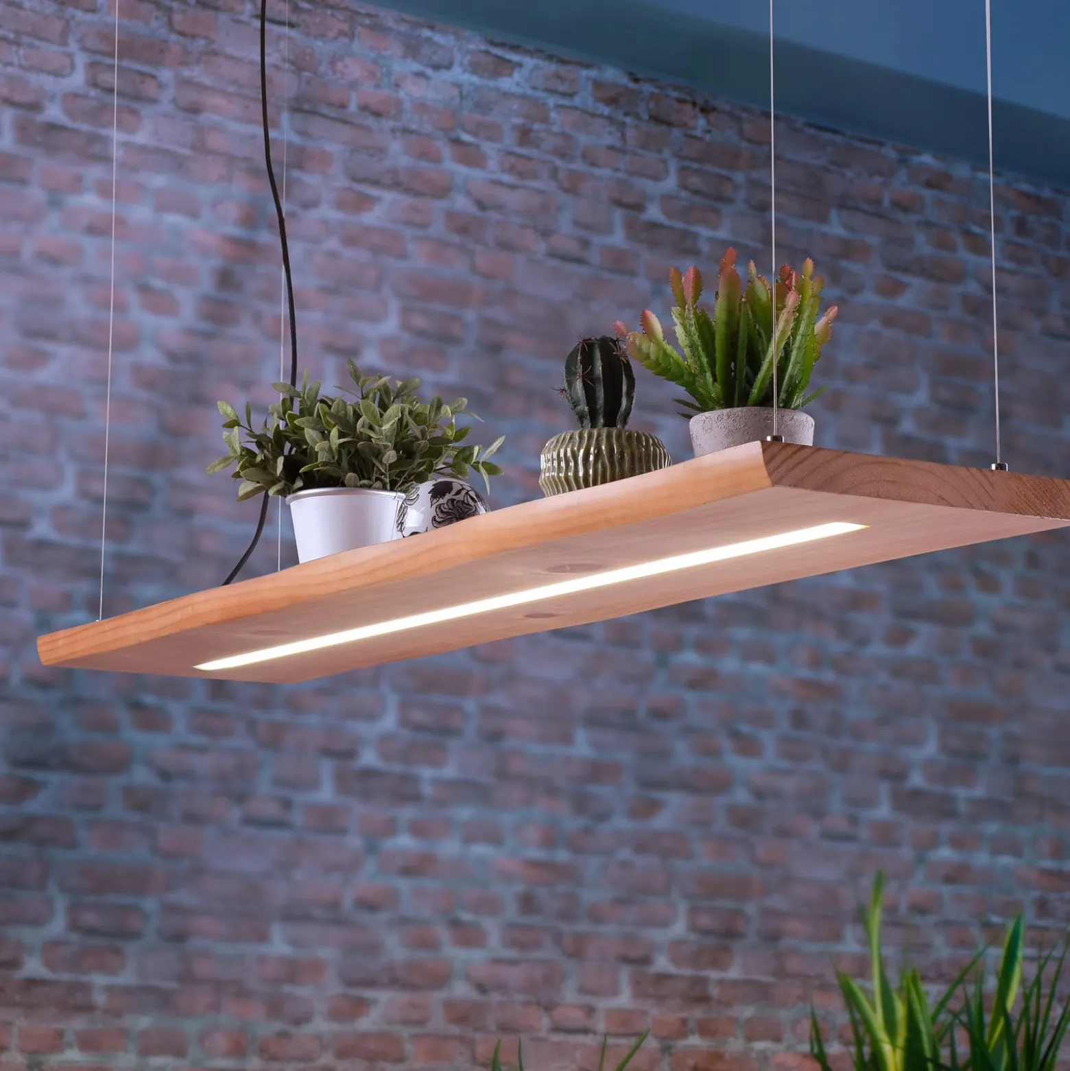 Paul Neuhaus LED-Hängelampe Palma, Holz, CCT, dimmbar, 100cm