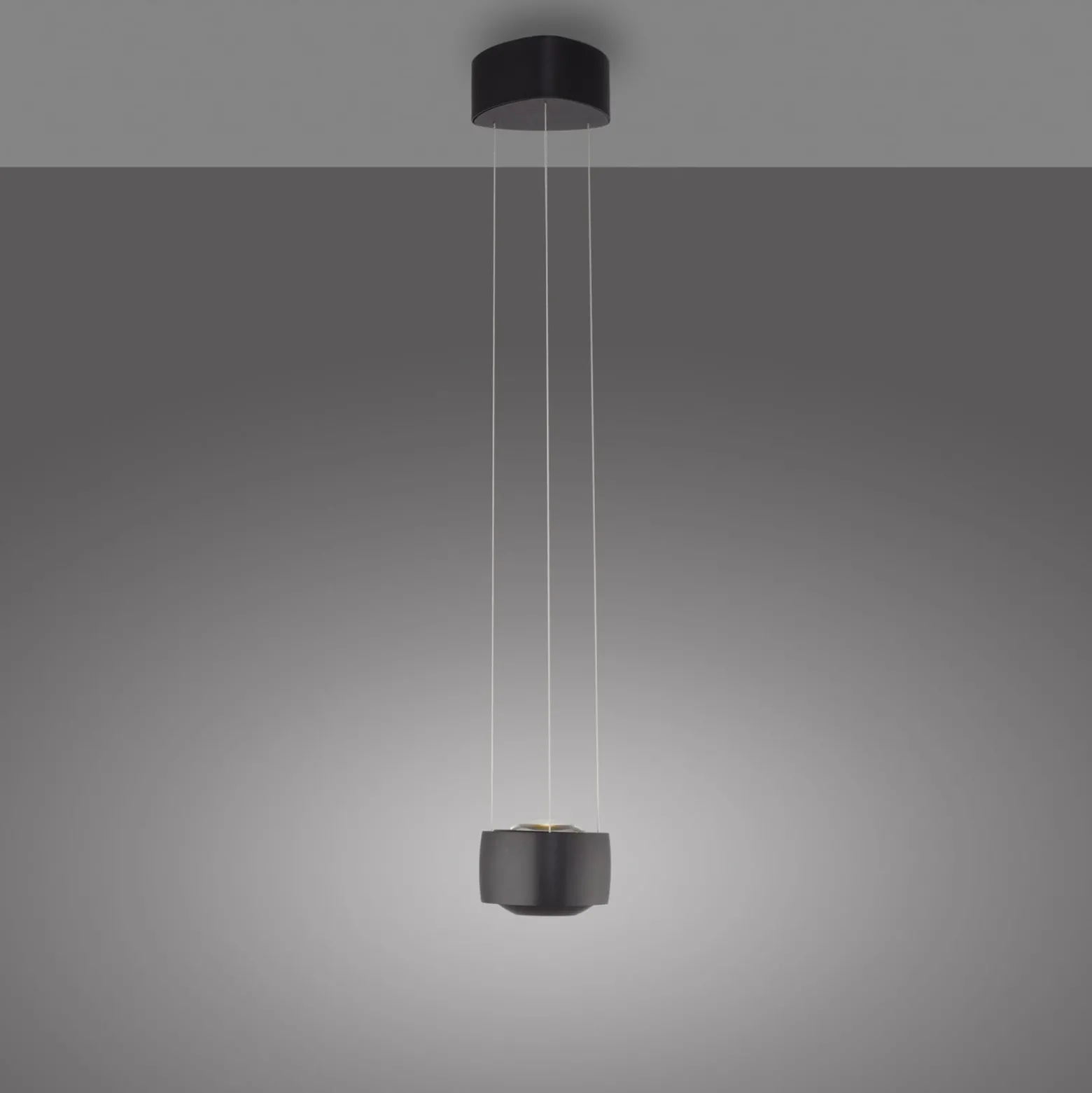 Paul Neuhaus LED-Pendelleuchte Q-Stretto, schwarz, Ø 14,5cm