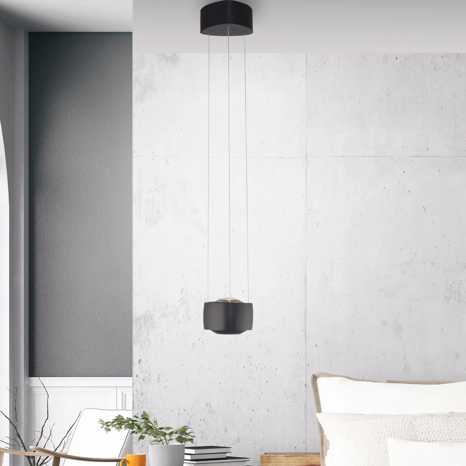 Paul Neuhaus LED-Pendelleuchte Q-Stretto, schwarz, Ø 14,5cm