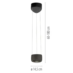 Paul Neuhaus LED-Pendelleuchte Q-Stretto, schwarz, Ø 14,5cm