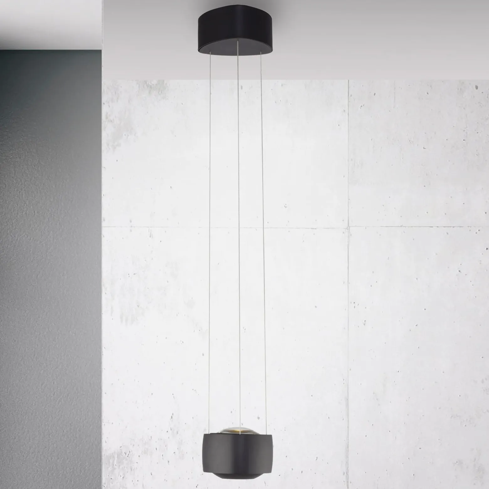 Paul Neuhaus LED-Pendelleuchte Q-Stretto, schwarz, Ø 14,5cm