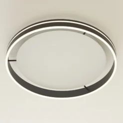 Paul Neuhaus Q-VITO LED-Deckenlampe 59cm anthrazit