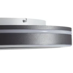 Paul Neuhaus Q-VITO LED-Deckenlampe 59cm anthrazit