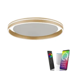 Paul Neuhaus Q-VITO LED-Deckenlampe, Ø 60cm